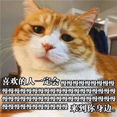 51黑料吃瓜每日更新 - mgm