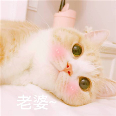 好污污污污污污污污污污污污污污污污污污app - 综述|